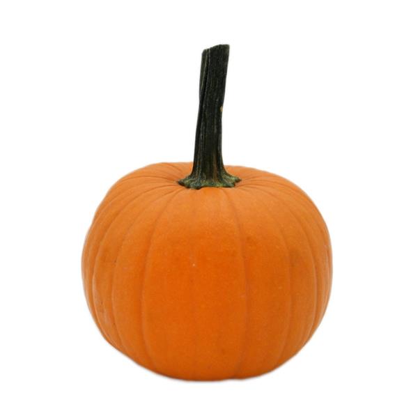 Pumpkins | Hy-Vee Aisles Online Grocery Shopping Pumpkins | Hy-Vee Aisles Online Grocery Shopping