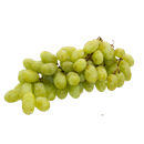 Green Seedless Grapes