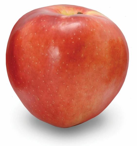 Fuji Apples  Hy-Vee Aisles Online Grocery Shopping