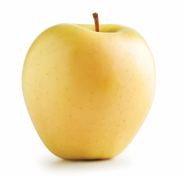 Golden Delicious - the Queen of yellow apples 