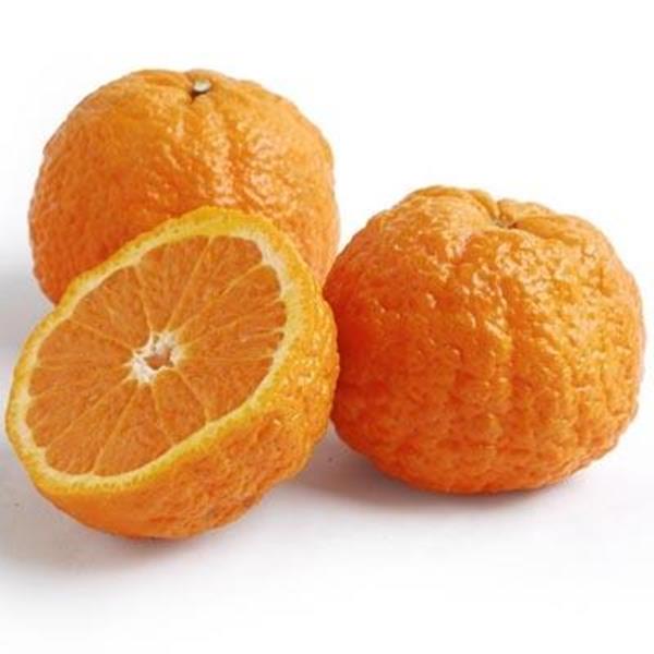 Fresh Gold Nugget Mandarin Oranges, 3 lb Bag