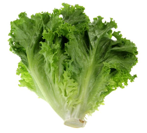 Green Leaf Lettuce | Hy-Vee Aisles Online Grocery Shopping