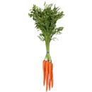 Green Top Carrots Bunch