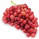 Holiday Red Seedless Grapes