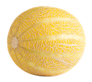Lemon Drop Melon