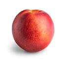 Yellow Flesh Nectarines