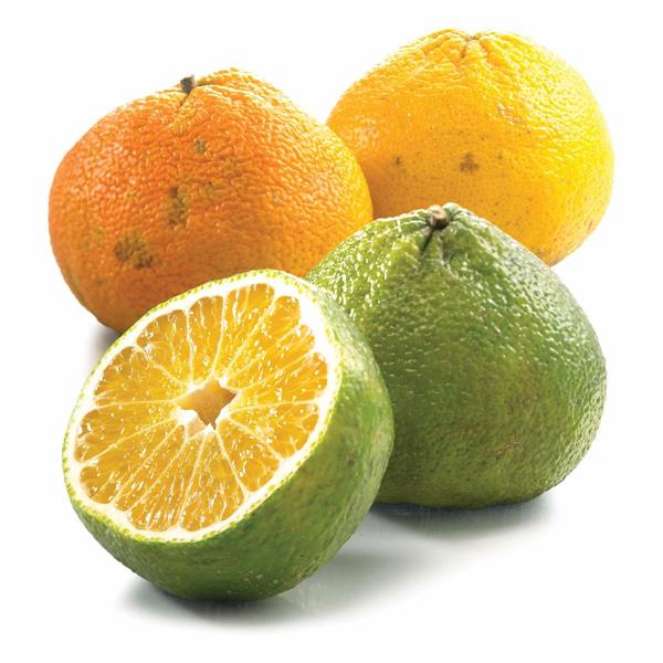 Ugli Fruit (Jamaican Tangelo) Hy Vee Aisles Online Grocery Shopping