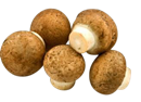 Cremini/Brown/Swiss Mushrooms