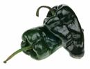 Poblano Peppers