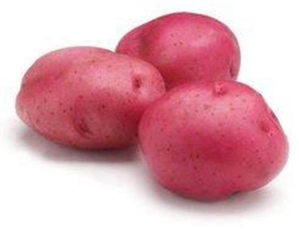 Red Potatoes B-Size