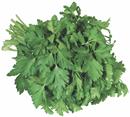 Organic Italian Flat Leaf Parsley