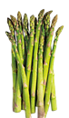 Asparagus
