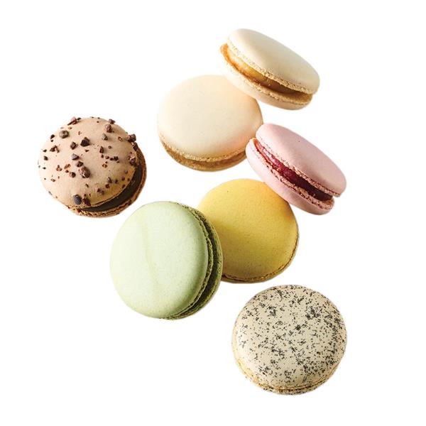 /cdn/shop/products/macaron-sil