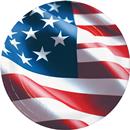 Freedom Flag Dinner Plate
