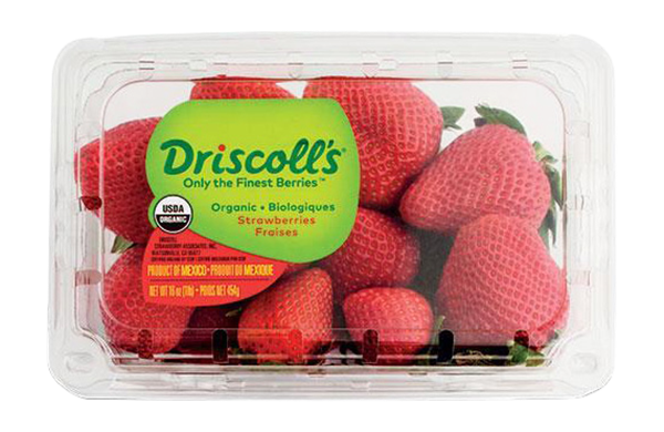 Berry berry fine. Driscoll's. Микрофон Strawberry 660. Fine Berry новая упаковка. Пион Берри Берри Файн.