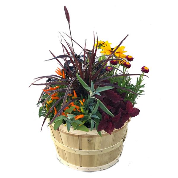 HyVee Aisles Online Grocery Shopping