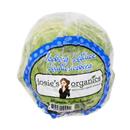 Josie's Organics Iceberg Lettuce