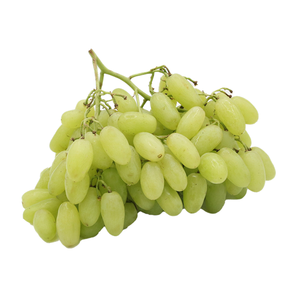Fresh Grapes, Organic, White/Green, Seedless