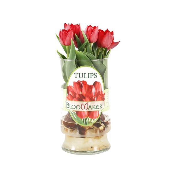 HyVee Aisles Online Grocery Shopping