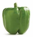 Green Bell Pepper