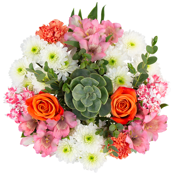 HyVee Aisles Online Grocery Shopping