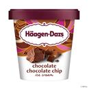 Häagen-Dazs Chocolate Chocolate Chip Ice Cream