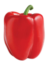 Red Bell Pepper