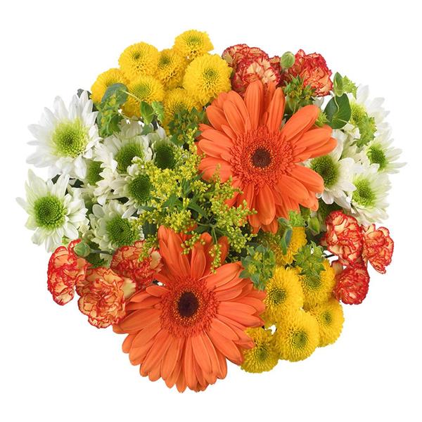 HyVee Aisles Online Grocery Shopping