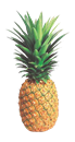 Del Monte Gold Pineapple