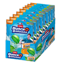 Bunch O Baloons Reusable Water Balloons