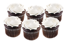 Everyday Chocolate Cupcakes - White Icing 6 Count