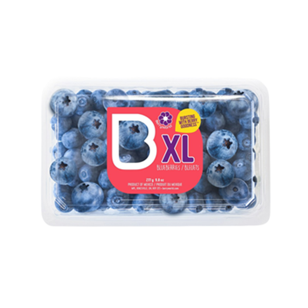 Berryworld XL Blueberries | Hy-Vee Aisles Online Grocery Shopping