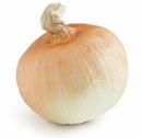 Vidalia Onions