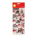 Wilton Santa with Reindeer Holiday Treat Bags