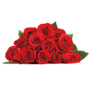 12 Stem Rose Bouquet - Wrapped (colors vary depending on availability)