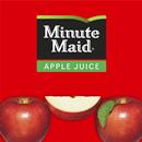 Minute Maid 100% Apple Juice, 6 Pack
