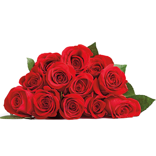 Dozen Red Roses Bouquet | Hy-Vee Aisles Online Grocery Shopping