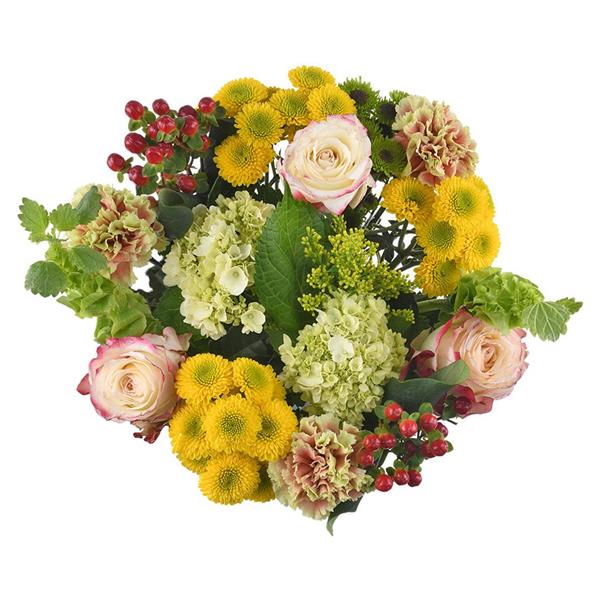 HyVee Aisles Online Grocery Shopping