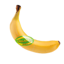 Fresh Organic Chiquita Bananas