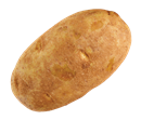 Russet Potato