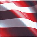 Freedom Flag Beverage Napkin