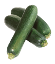 Zucchini Squash